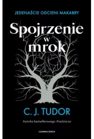 Spojrzenie w mrok. Jedenaście odcieni makabry