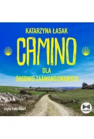 Camino dla średnio zaawansowanych. Wszystko co chcesz wiedzieć o drodze św. Jakuba, ale nie masz kogo zapytać