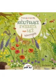 Boćki i zające. Zwierzęta na łące. Polne przygody