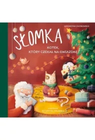 Słomka – kotek, który czekał na gwiazdkę