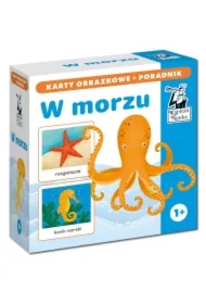 Kapitan Nauka. W morzu. Karty obrazkowe + poradnik