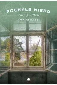 Pajęczyna. Pochyłe niebo. Tom 2