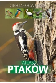 Atlas ptaków