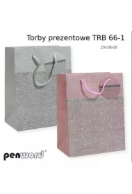 Torebka prezentowa 23x18x10cm MIX