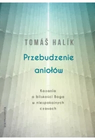 Przebudzenie aniołów. Kazania o bliskości Boga w niespokojnych czasach