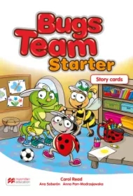Bugs Team Starter. Story Cards