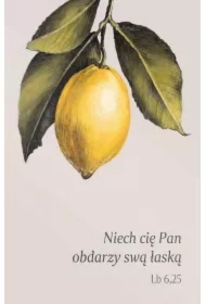 Magnes na lodówkę - Niech cię Pan obdarzy