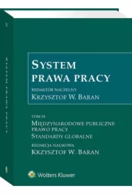 Międzynarodowe publiczne prawo pracy. Standardy globalne. System prawa pracy. Tom 9