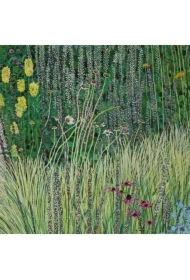 Karnet z kopertą Złocień krzewiasty