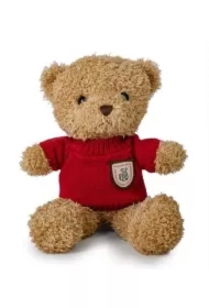 Miś brązowy 22cm w sweterku czerwony