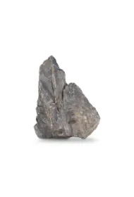 Skałka Skalny szczyt, S:10-20cm