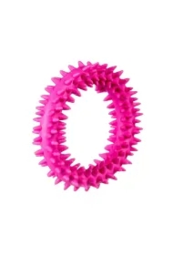 Mały ring XS dla szczeniąt różowy, 9.5 cm