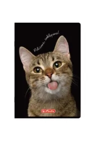 Zeszyt A5 Crazy Animal z marginesem