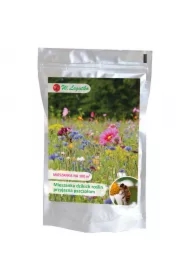Mieszanka dzikich roślin miododajnych przyjazna pszczołom