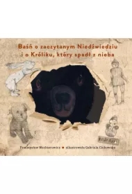 Baśń o zaczytanym Niedźwiedziu i o Króliku, który spadł z nieba