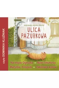 Ulica Pazurkowa