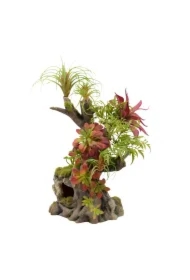 Kompozycja roślinna terrarystyczna 42cm