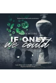 If Only We Could. Destiny. Tom 2