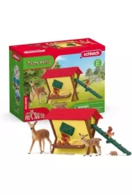 Karmienie Leśnych Zwierząt