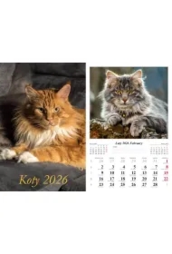 Kalendarz ścienny 2026 Koty