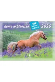 Kalendarz 2026 rodzinny Konie w plenerze