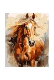 Malowanie po numerach - Koń