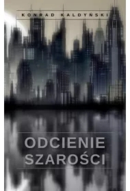 Odcienie szarości