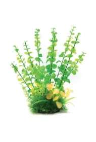 Roślina, do dekoracji akwarium, zielona, plastikowa, 31 cm, długie łodygi i drobne liście