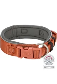 Premium, obroża, dla psa, rdzawa/grafit, S&ndash;M: 33&ndash;42 cm/35 mm