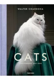 Walter Chandoha Cats