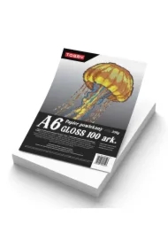 Papier kredowy powlekany A6 350 g/m gloss 100 ark