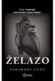 Żelazo. Paradoks Cnót. Tom 2