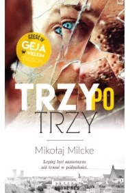 Trzy po trzy. Gej w wielkim mieście. Tom 4