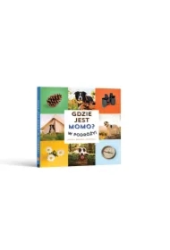 Gdzie jest Momo? W podróży!