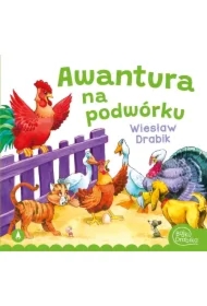 Awantura na podwórku