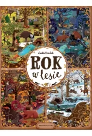 Rok w lesie