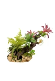 Kompozycja roślinna terrarystyczna 56cm