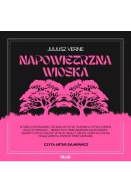 Napowietrzna wioska
