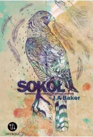 Sokół Opowieść o miłości do ginącej przyrody