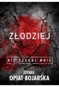 Złodziej. Nie szukaj mnie. Tom 1