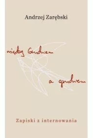Między Grudniem a grudniem. Zapiski z internowania