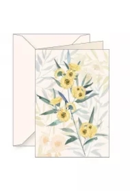 Karnet B6 + koperta 6124 Eukaliptus gałkowy