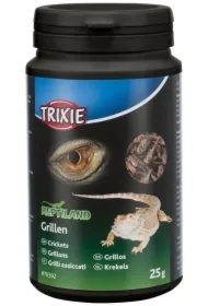 Pokarm dla gadów, świerszcze