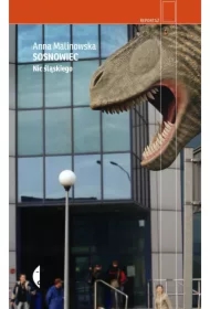 Sosnowiec. Nic śląskiego