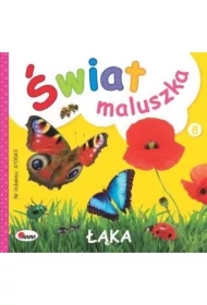 Łąka. Świat maluszka