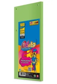 Przekładka do segregatora 1/3 A4 100K IT130 ziel