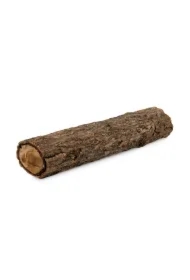 Drewno Champion Tree Trunk 40 x 15 cm