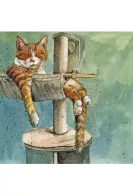 Karnet AC811 Kot na drapaku