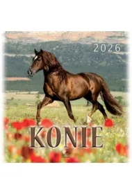 Kalendarz 2026 wieloplanszowy Konie