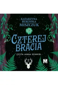 Czterej bracia. Kwiat paproci. Tom 6.5